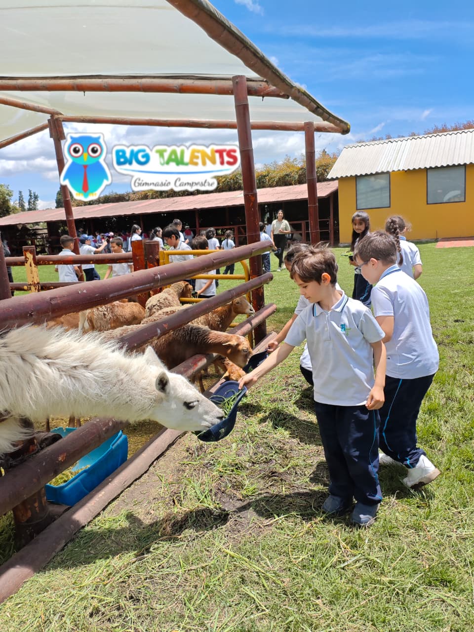 Granja y huerta escolar